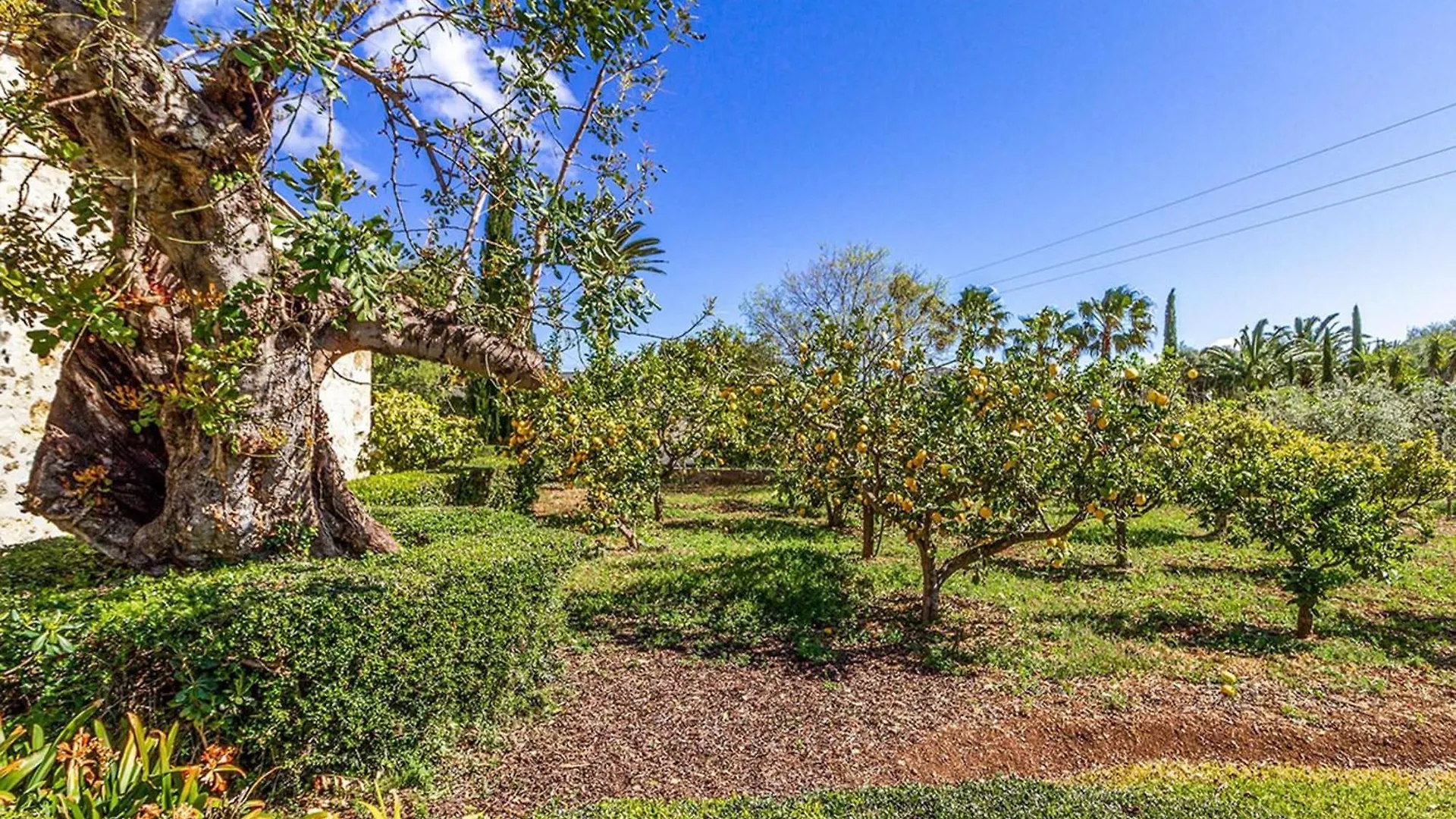 Βίλα Pollensa - 4661 Mallorca Ισπανία